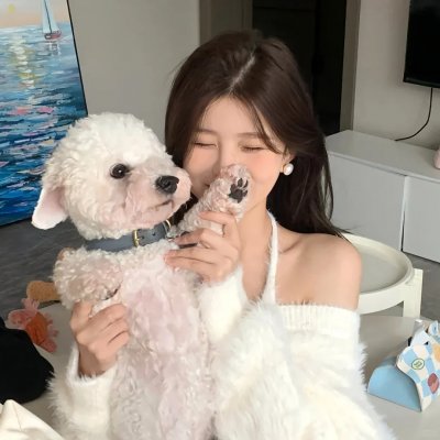 哈莉·奎茵第五季